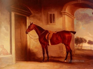 horse cats Painting - A Saddled Bay Hunter In A Stableyard horse John Ferneley Snr